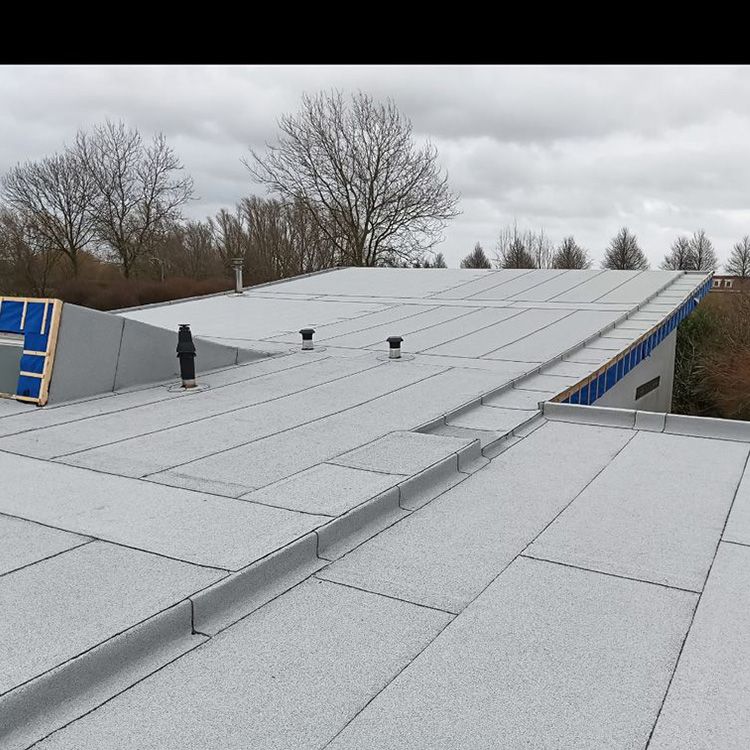 Compleet gerenoveerd dak met nieuwe dakbedekking in Veenendaal